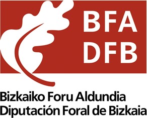 Logo Bizkaia Provinical Council Spain